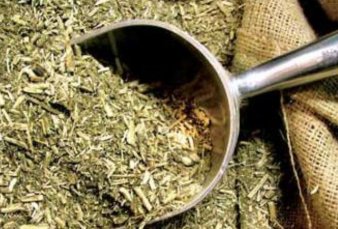 Crecen las exportaciones de yerba y el consumo interno se consolida