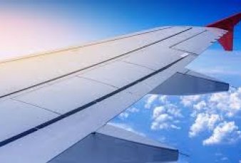 Para Air New Zealand, la ca�da de la demanda local es poco significativa