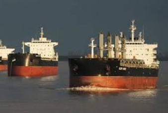 China le dijo que no a la harina de soja argentina