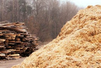 Primera planta de energ�a forestal