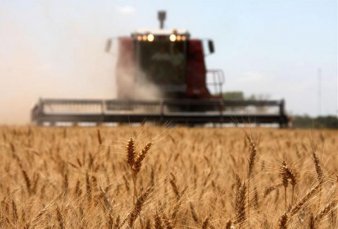 La cosecha de trigo dejar en Crdoba U$S 782 millones