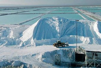 La mujer m�s rica del pa�s paga u$s83 M para comprar una minera canadiense