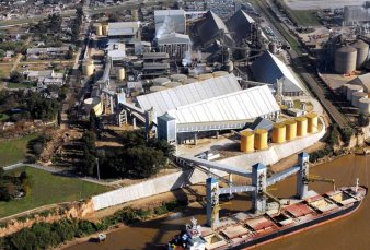 Molinos ampl�a presencia en biodiesel