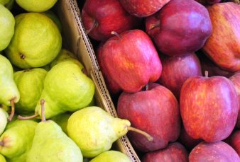La exportaci�n de peras y manzanas creci� un 25% en 2018