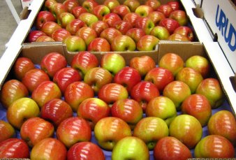 Brasil frena el ingreso de frutas y pone en riesgo env�os por US$ 150 millones