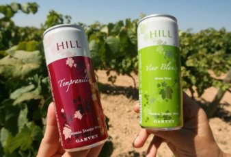 El vino se reinventa con la venta "tirada", nuevos envases y m�s zonas de producci�n