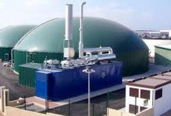 Lanzan una alianza para proyectos de bioenerg�a