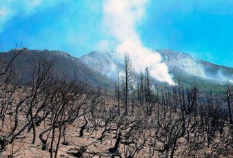 Buscan controlar varios focos de incendio cerca de Bariloche