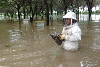 Inundaciones: entidades rurales reclaman prolongar emergencia sectorial en Chaco