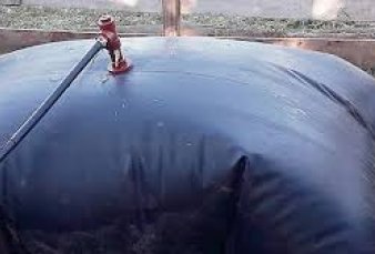 Desarrollan una bolsa pl�stica para tratar desechos de animales