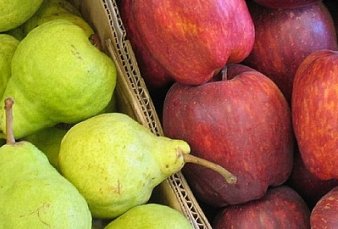 Avanza prrroga de emergencia en peras y manzanas en cinco provincias