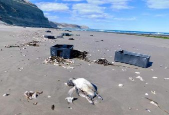Denuncian a empresas por tirar cajones en la costa de Chubut