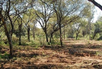 Robaron tres meteoritos de un parque temtico en Chaco