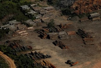 Se acelera con Bolsonaro la deforestacin en la Amazonia
