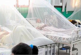 Alerta en Misiones: por las temperaturas primaverales siguen los casos de dengue