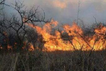 Catamarca: Un incendio forestal afecta ms de 300 hectreas