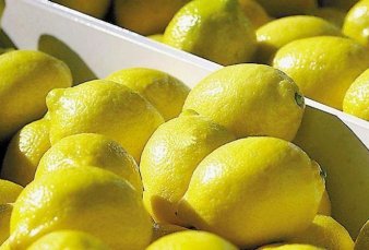 Lleg� a la India el primer env�o de lim�n argentino