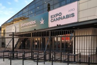 Expo Cannabis Argentina - "Est� en gran parte supliendo una obligaci�n del Estado"