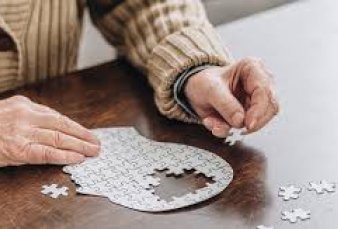 Argentina coordinar� una iniciativa regional para prevenir la demencia