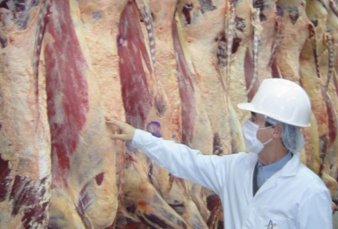 Por la peste porcina, Argentina pas� a ser el primer exportador de carne vacuna a China