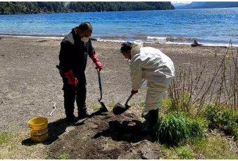 Por la "invasin" de ratas, cierran por 5 semanas los lagos en La Angostura
