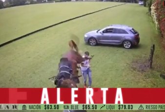Tortuguitas: impresionante patada de un caballo a un joven