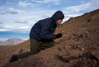Descubren un mundo fosilizado a 30 kilmetros de El Calafate