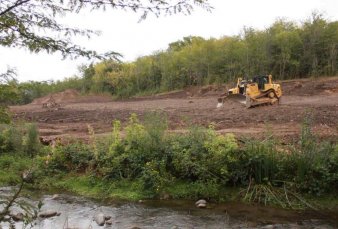 Baj� el desmonte, pero igual se perdieron 2,8 millones de ha de bosques