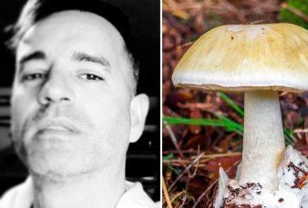 C�rdoba: falleci� un turista tras comer el "'hongo de la muerte"