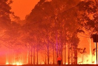 Por el cambio clim�tico, la Argentina es hoy m�s vulnerable a los incendios