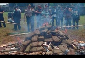 Indonesia: quemaron marihuana incautada y drogaron a todo un pueblo