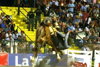 Festival Jes�s Mar�a: dos jinetes en estado delicado