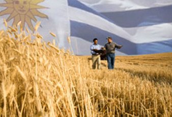 Efecto retenciones: argentinos a la caza de campos en Uruguay
