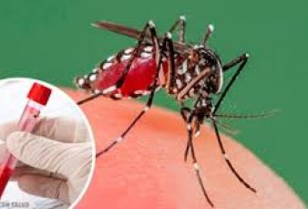 Dengue: en el pas ya hay tres muertos y en la Ciudad aumentan los casos
