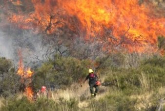 Un incendio afect 550 hectreas de pastizales en Chubut