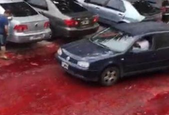 R�o de sangre en Mor�n: un frigor�fico derram� 500 mil litros