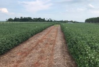 Las tabacaleras piden que les permitan retomar la producci�n