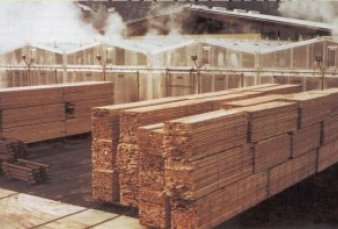 La industria maderera perdi� el 70% de las ventas a pesar de la excepci�n