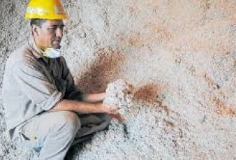 El algod�n logr� una cosecha r�cord pero sin compradores