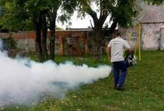 Se registraron en nueve meses m�s de 14.000 casos de dengue en el pa�s