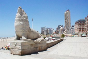 Mar del Plata se pone a prueba y reactiva construcciones y locales comerciales