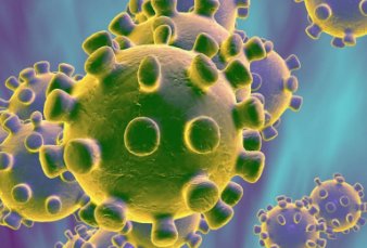 Chubut tuvo su primer muerto y preocupa la expansin del virus