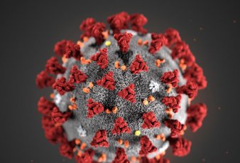 La desaceleraci�n de las infecciones, un obst�culo para el desarrollo de una vacuna