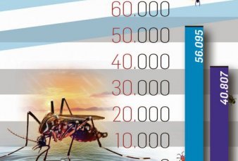 Alarma en el pa�s: confirman 54.870 casos de dengue