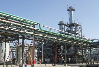 Alertan que 30 pymes de biodi�sel est�n paradas