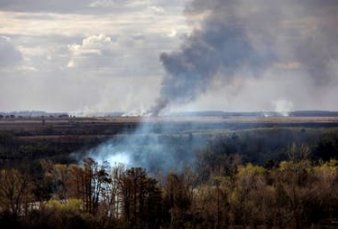 Delta del Paran: ms de 7.000 focos de incendio en dos semanas