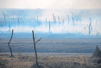 Los incendios forestales ya afectan a 10 provincias y preocupa el dao ecolgico