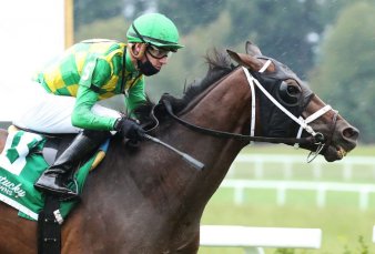 La industria del caballo perdi� ingresos por $10.000 millones