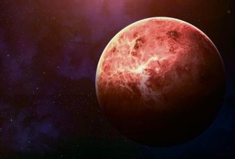 Hallazgo cient�fico: descubren posibles signos de vida en Venus