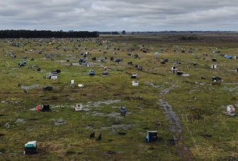 Toma de tierras en Guernica - Propietaria: "Le apuntaron con un arma a mi nene de 15 aos"